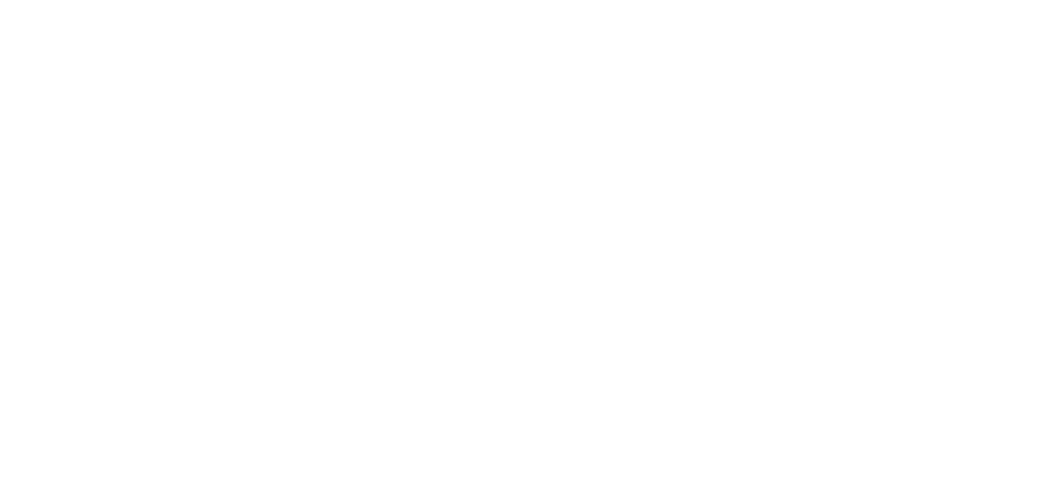 Flok Logo